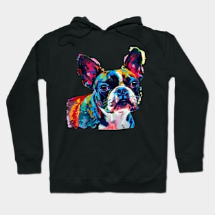 Boston Terrier Colorfull Pop Art Design For Dog Onwer Hoodie